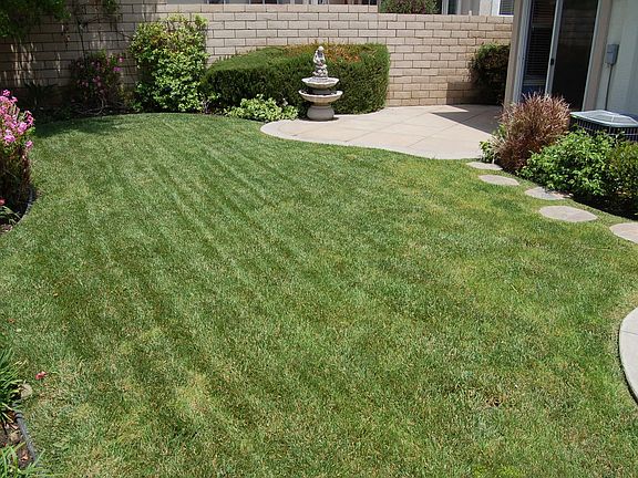 Pool sized Backyard!