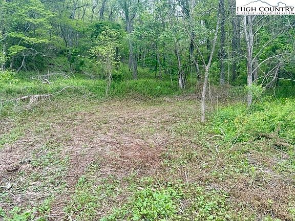 4th image of TBD NC Hwy 163