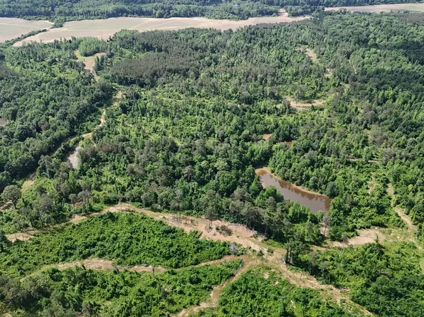 10583 Ballentine Rd, Sardis, MS 38666