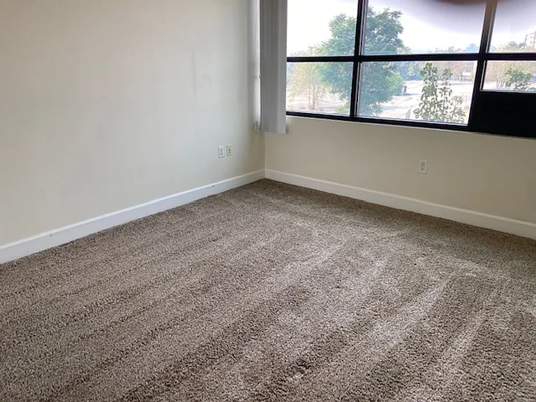 450 N Arlington Ave #307 — Photo 4