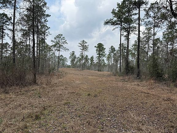 2nd image of Pid 28084 County Divide Rd