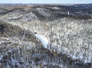 0 Barber Ridge Rd TRACT 8, Lewisville, OH 43754