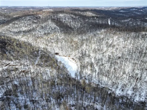 0 Barber Ridge Rd Tract 8, Lewisville, OH 43754