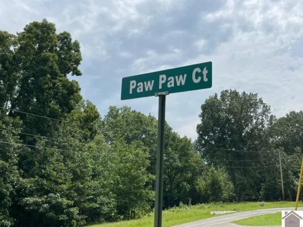 12 Windsor Way, Cadiz, KY 42211