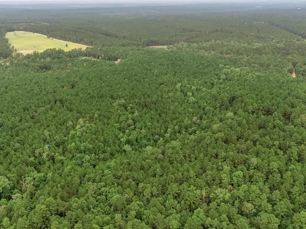 John Hensley Rd, Livingston, TX 77351