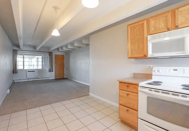 50 N Clarkson St #302 — Photo 7