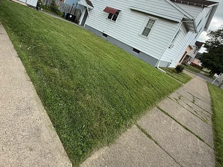 1184 Kossuth Ave #2 — Photo 15