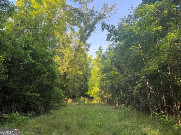 0 Branan Rd, Toomsboro, GA 31090