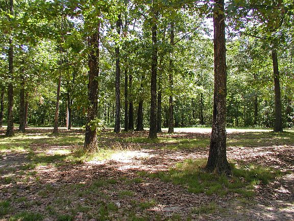 2nd image of 9 Dogwood Cir