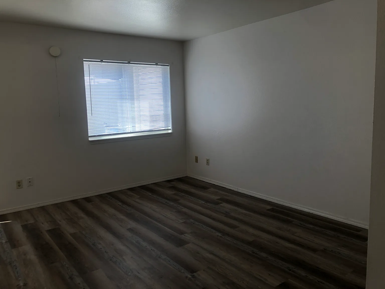 4 bed, 1270 sqft, $1,450 — Photo 3