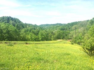 1898 Tariff Rd, Left Hand, WV 25251