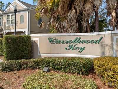 11336 Cayman Key Ave, Tampa, FL, 33624
