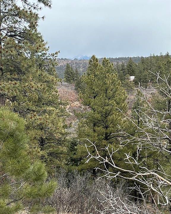 1st image of 176 Pineridge Tr.