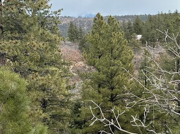 176 Pineridge Tr., Pagosa Springs, CO 81147