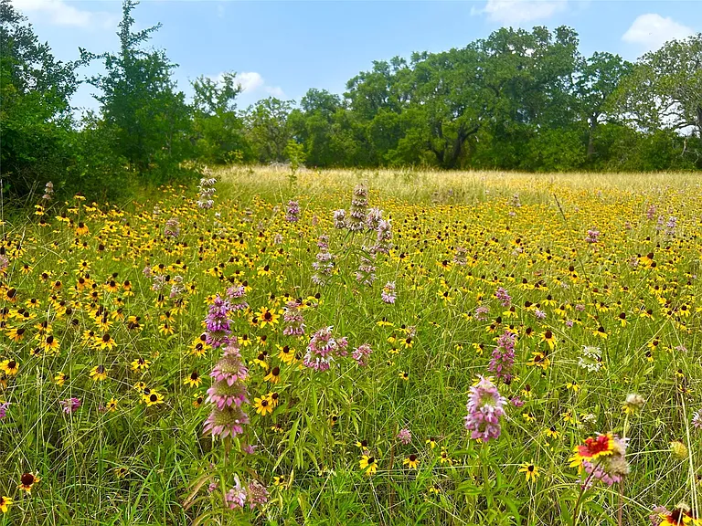 6013 Abilene Trl — Photo 22
