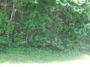 3365 Alec Mountain Rd, Clarkesville, GA 30523