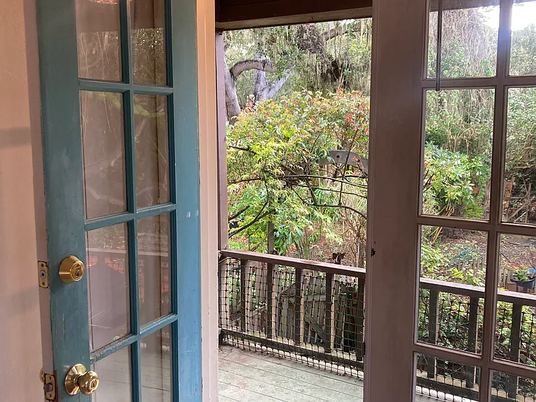 French doors look out on green landscape.