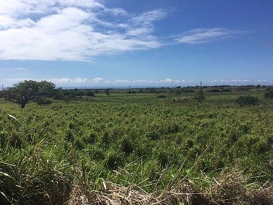 4th image of Mamalahoa Hwy Lot 2