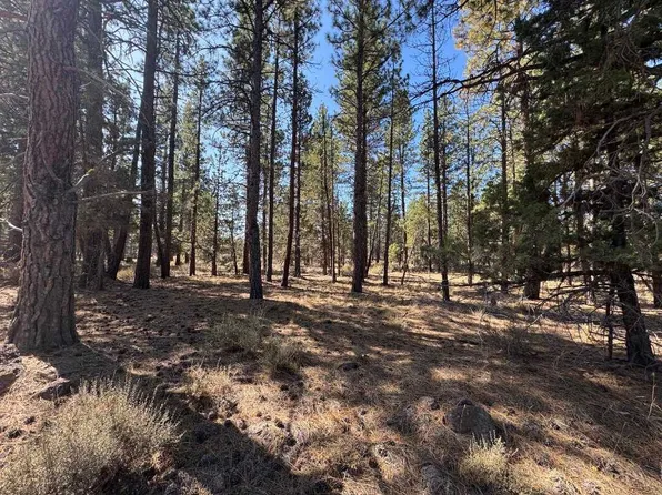0 Tennant Mount Hebron Hwy, Macdoel, CA 96058