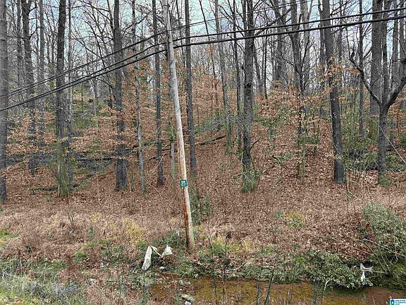 5th image of Greenhill Rd #1