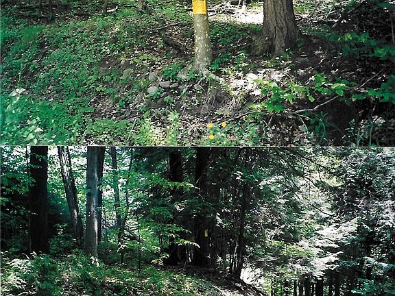 4th image of Pantherlick Rd