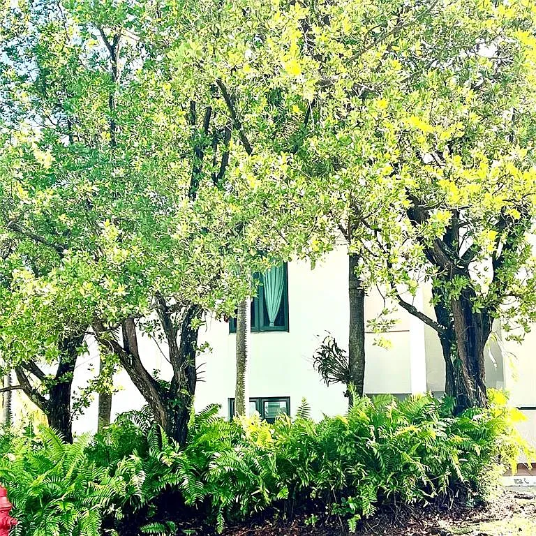 2 bed, 2.0 bath, 1772 sqft, $2,950 — Photo 2