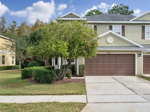 20217 Indian Rosewood Dr, Tampa, FL 33647