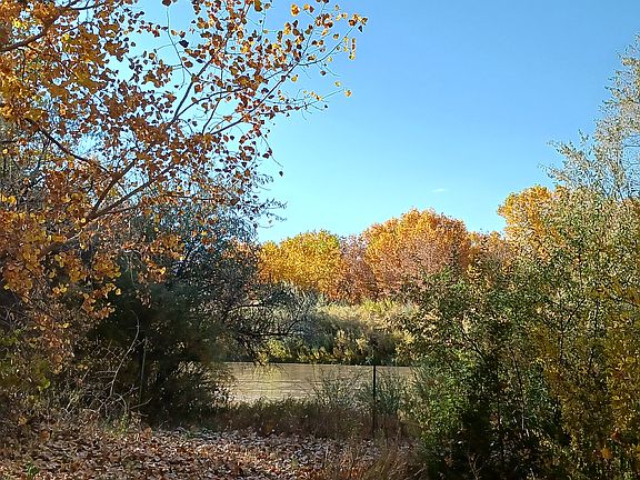 Private access to River Front