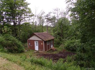 8157 Lot 1 #11, Friendship, NY 14739