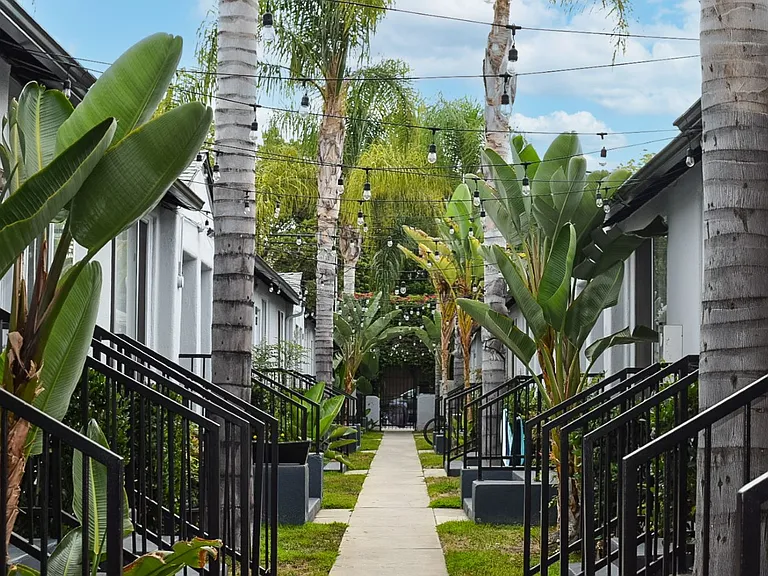 Hollywood Off Vine — Photo 17