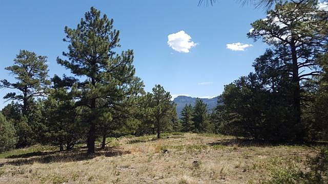 1st image of Turkey Creek Ln