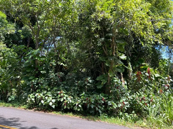 Kalapana Kapoho Beach Rd Lot 28, Pahoa, HI 96778