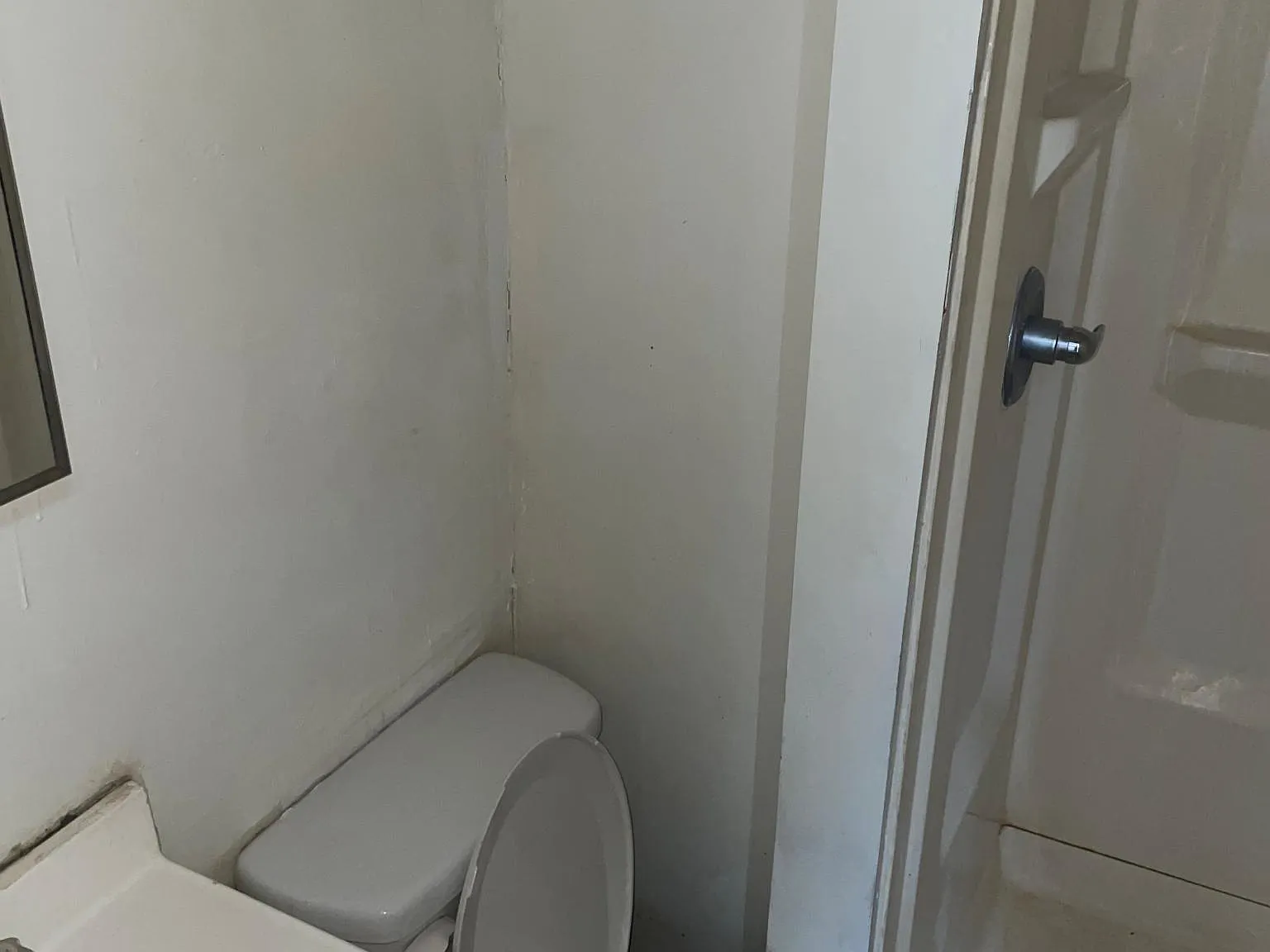 1 bed, $800 — Photo 4