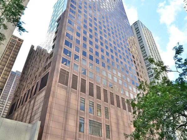 161 E Chicago Ave APT 40DE, Chicago, IL 60611