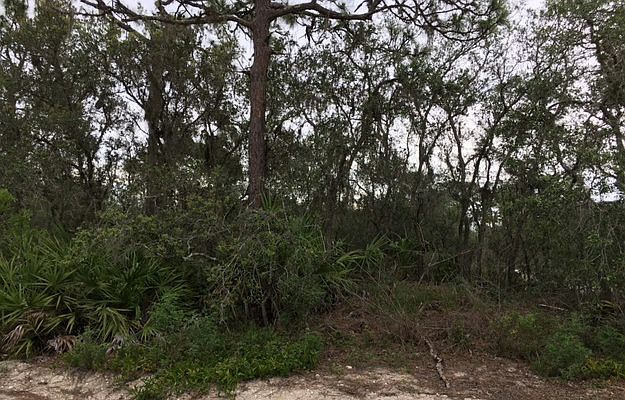 2nd image of 1324 White Wolf Rd