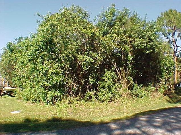 2nd image of 11 Holly Rd