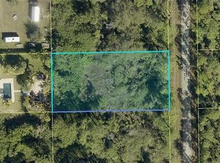 2009 Grant Ave, Alva, FL 33920