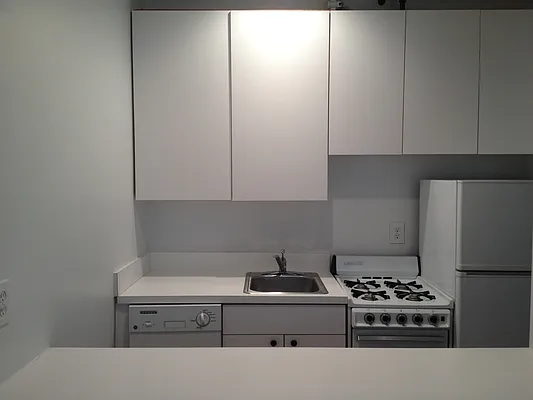 Rented by Manhattan Flats | media 38