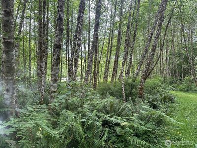 295 Oak Point Road, Longview, WA, 98632