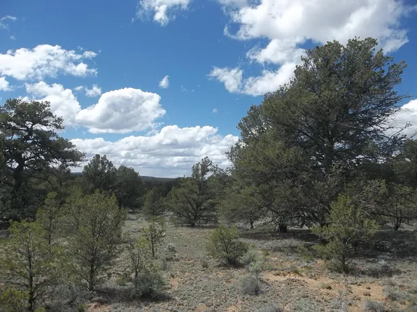 22 Bucking Horse Candy Kitchen, Ramah, NM 87321