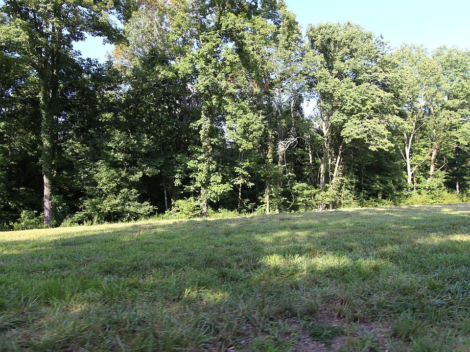 1st image of 11 October Dr Lot 11