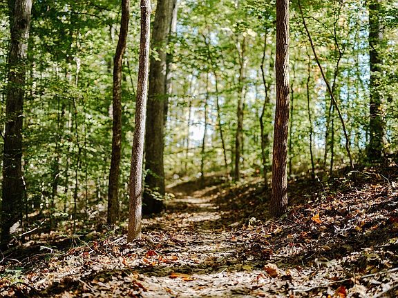 3rd image of 0 Pinewood Rd Lot 203