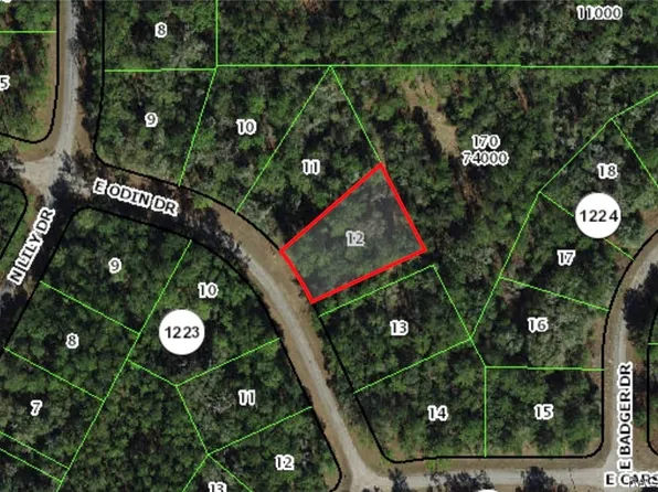 1455 E Odin Dr, Citrus Springs, FL 34434