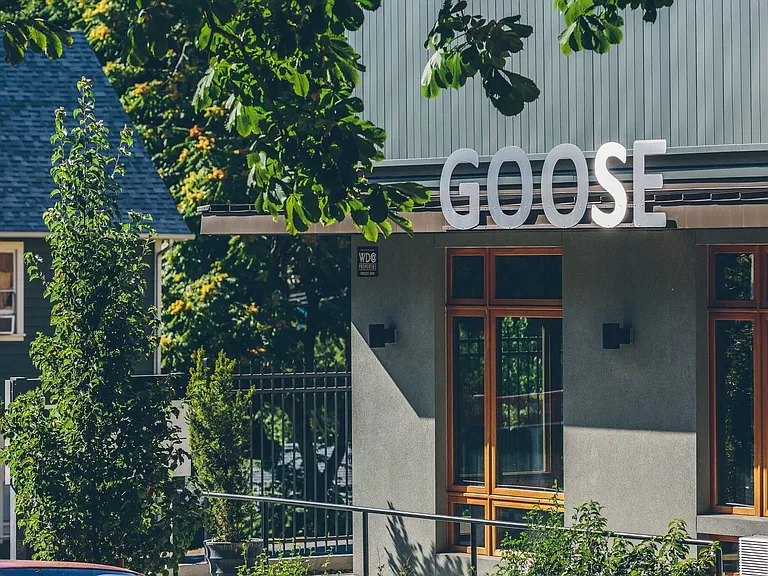Goose Apartments — Photo 60