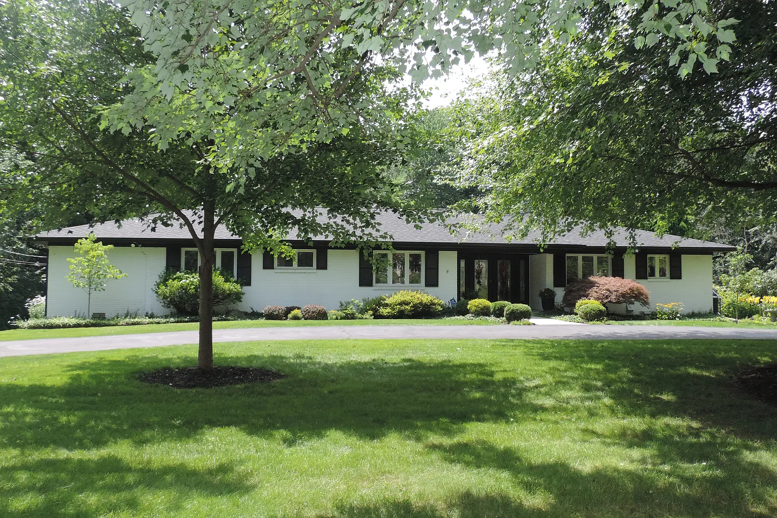 7204 Sylvan Ridge Rd photo 1