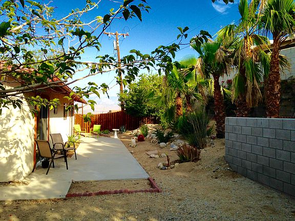 Lemon Tree too