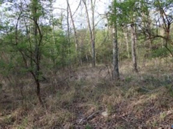 4th image of 323/ACRE S County Rd #52