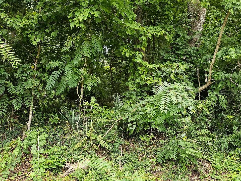 2nd image of Tbd Green Spring Rd