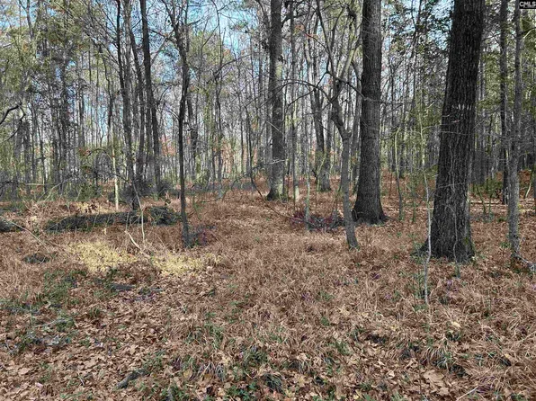 440 Paschal Rd, Elgin, SC 29045
