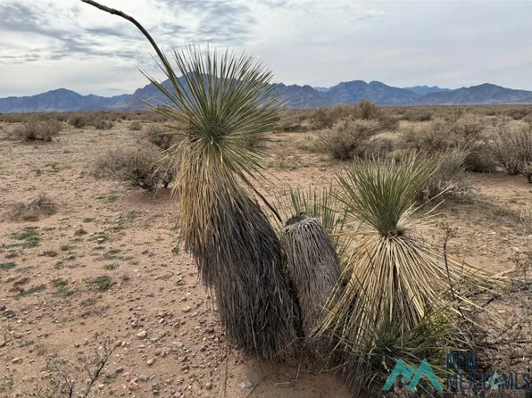 Estrellas Parkway Rd, Rodeo, NM 88056